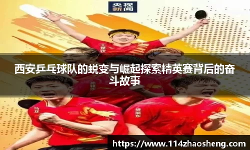 西安乒乓球队的蜕变与崛起探索精英赛背后的奋斗故事